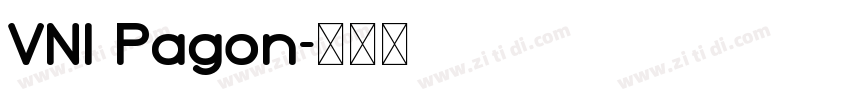 VNI Pagon字体转换